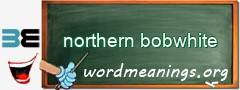 WordMeaning blackboard for northern bobwhite
